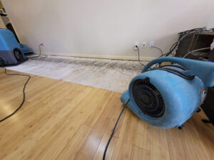 Peerless - Air Mover Fan Drying Floor and Wall